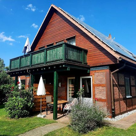 Ferienhaus Sasse Ferienwohnungen Mit Garten & Grill Molschow Esterno foto