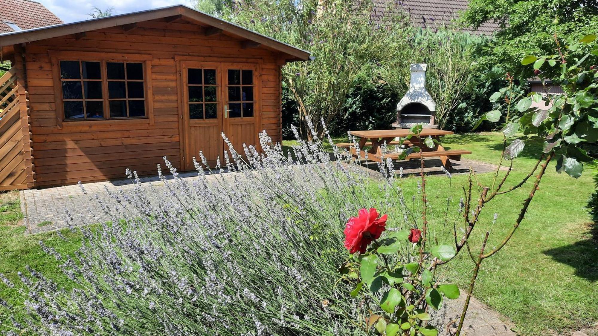 Ferienhaus Sasse Ferienwohnungen Mit Garten & Grill Molschow Esterno foto